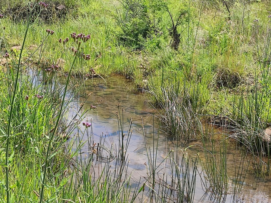 0 Bedroom Property for Sale in Swartruggens North West